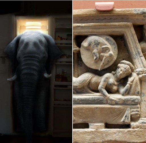 Elefant im Kühlschrank